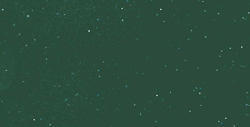 Polyhaube und Bug Dark Green Metallic