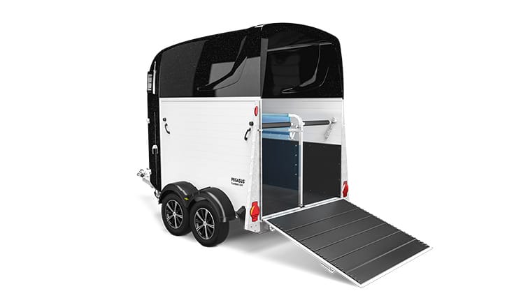 PEGASUS STYLE 2400